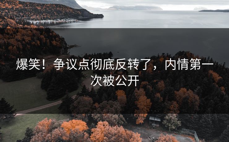 爆笑！争议点彻底反转了，内情第一次被公开