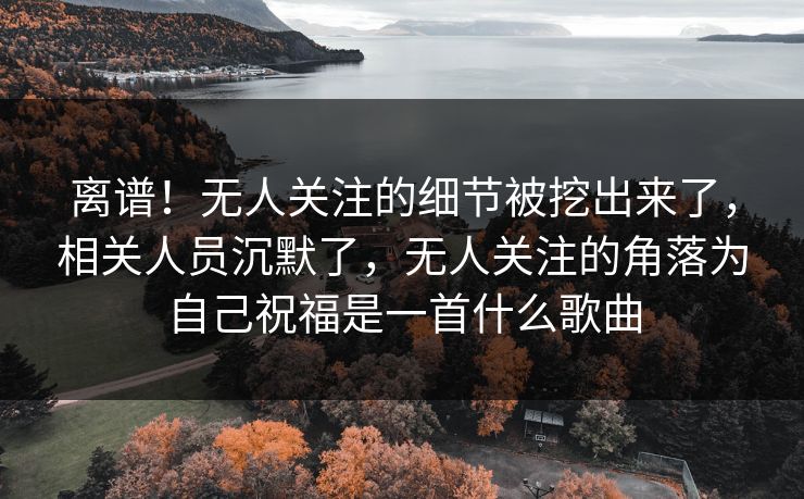 离谱！无人关注的细节被挖出来了，相关人员沉默了，无人关注的角落为自己祝福是一首什么歌曲