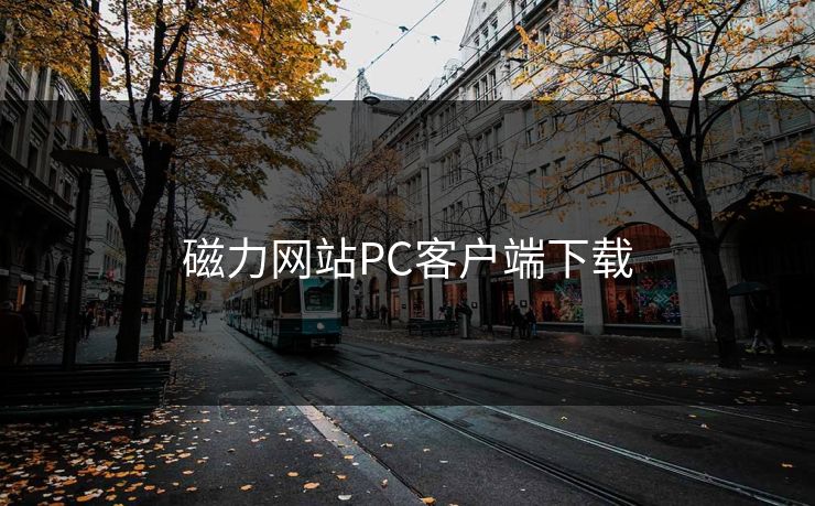 磁力网站PC客户端下载