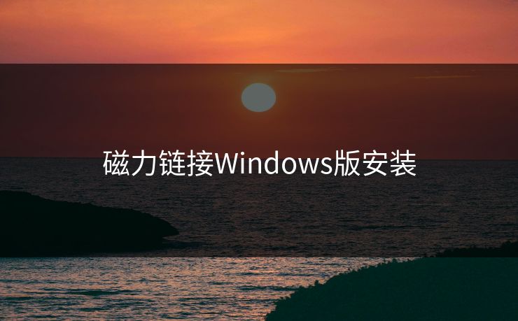 磁力链接Windows版安装 磁力链接Windows版安装
